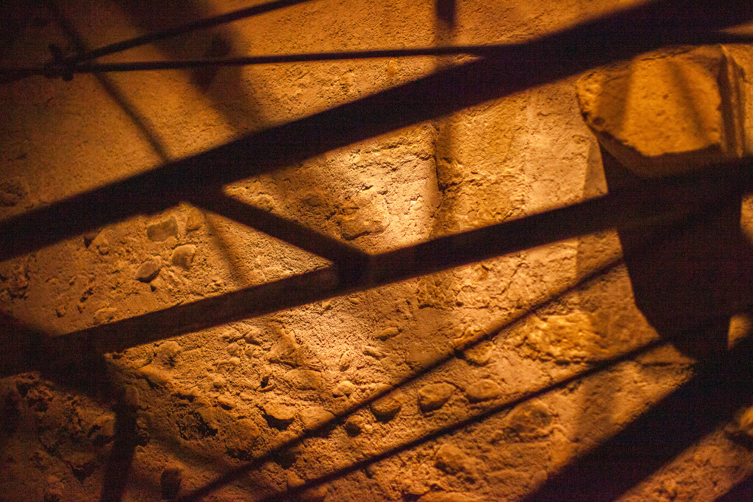 20110313034418 IMG 7229